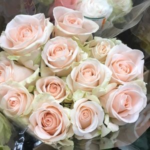 Meet your Posher, Alexa